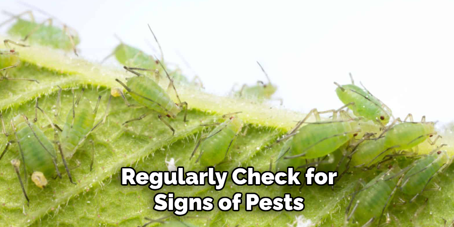 Regularly Check for
Signs of Pests