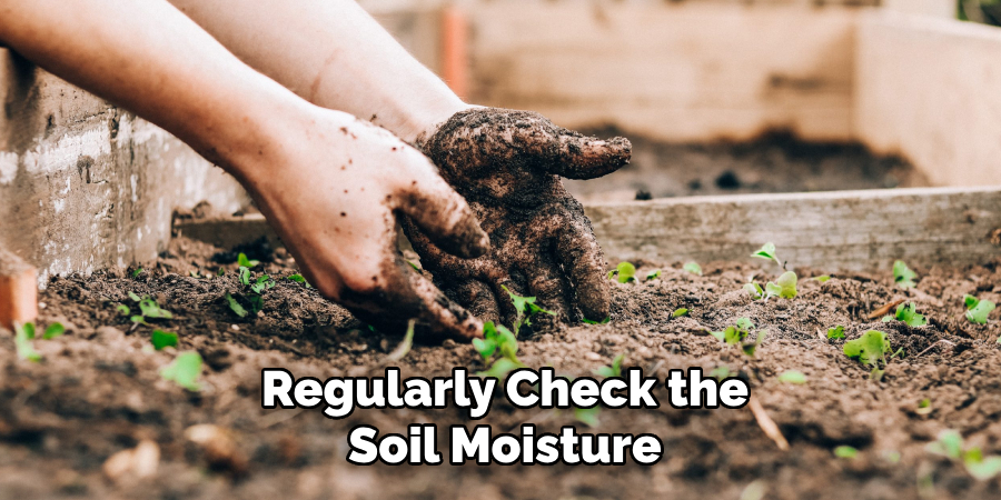 Regularly Check the
Soil Moisture
