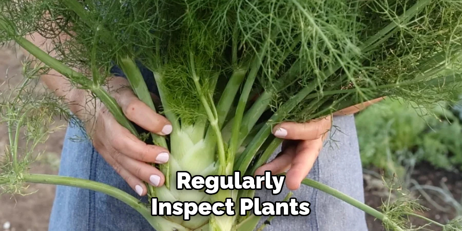 Regularly Inspect Plants