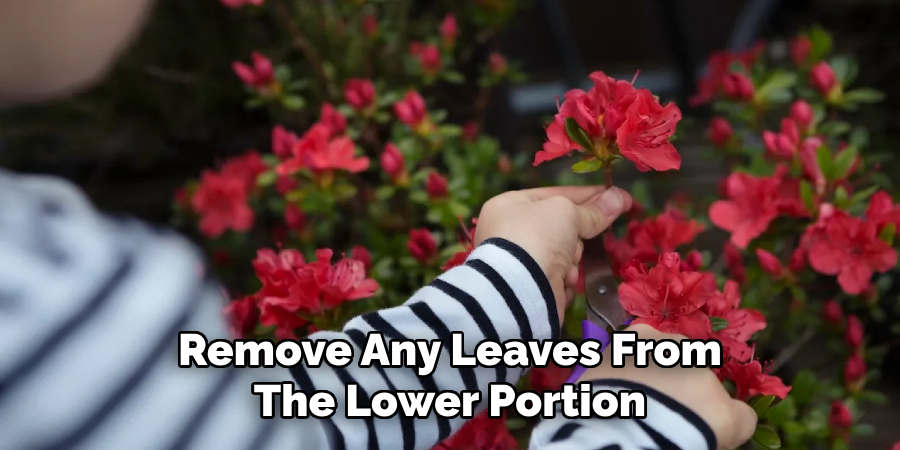 Remove Any Leaves From
The Lower Portion