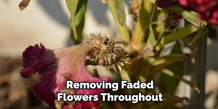 Removing Faded
Flowers Throughout
