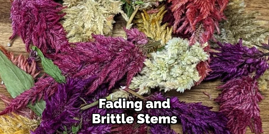 Fading and Brittle Stems