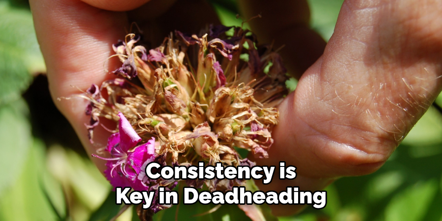 Consistency is Key in Deadheading