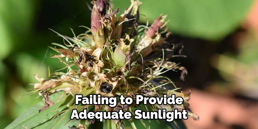 Failing to Provide Adequate Sunlight