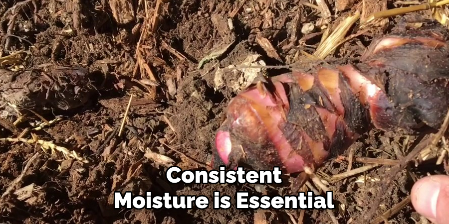 Consistent Moisture is Essential