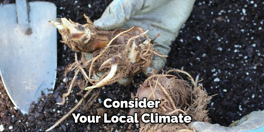 Consider Your Local Climate
