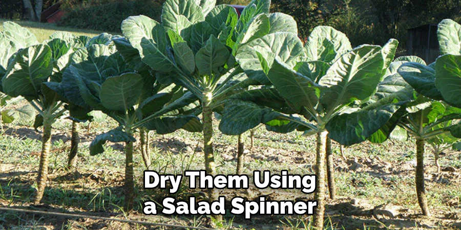 Dry Them Using a Salad Spinner