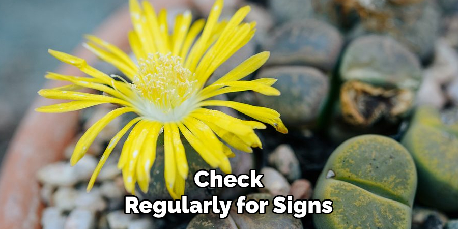Check Regularly for Signs