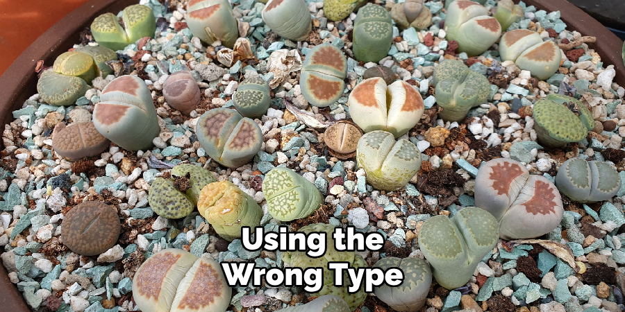 Using the Wrong Type