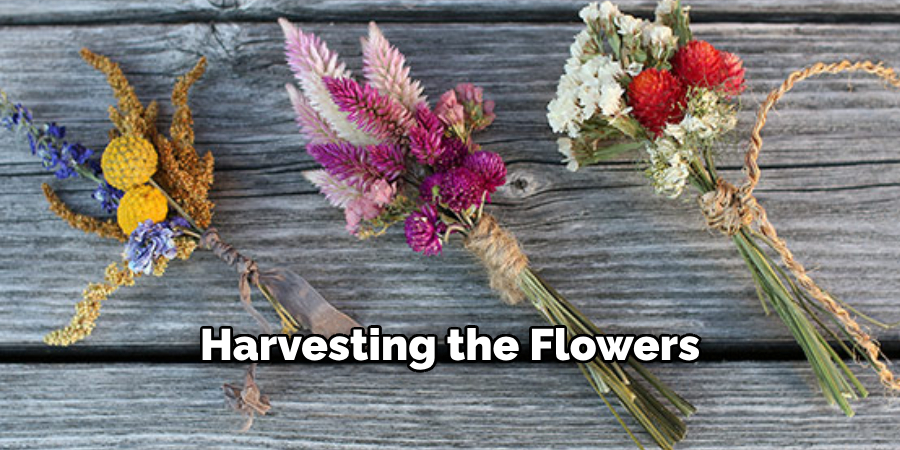 Harvesting the Flowers