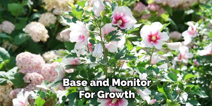 Base and Monitor for Growth