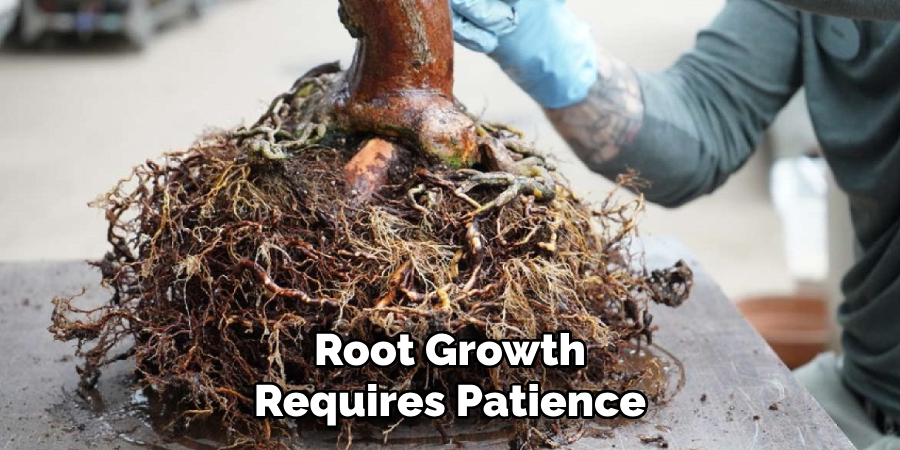 Root Growth
Requires Patience