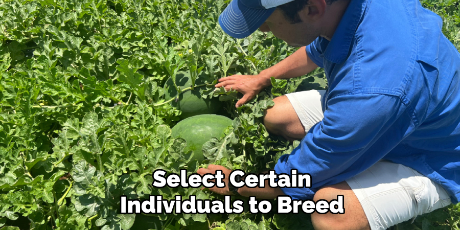 Select Certain
Individuals to Breed