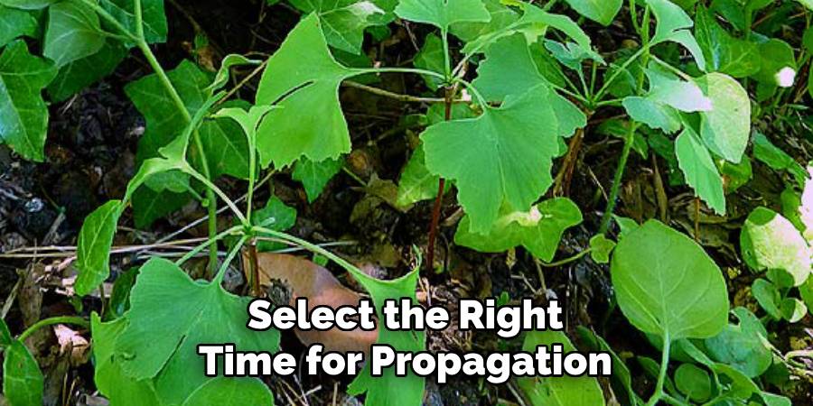 Select the Right Time for Propagation