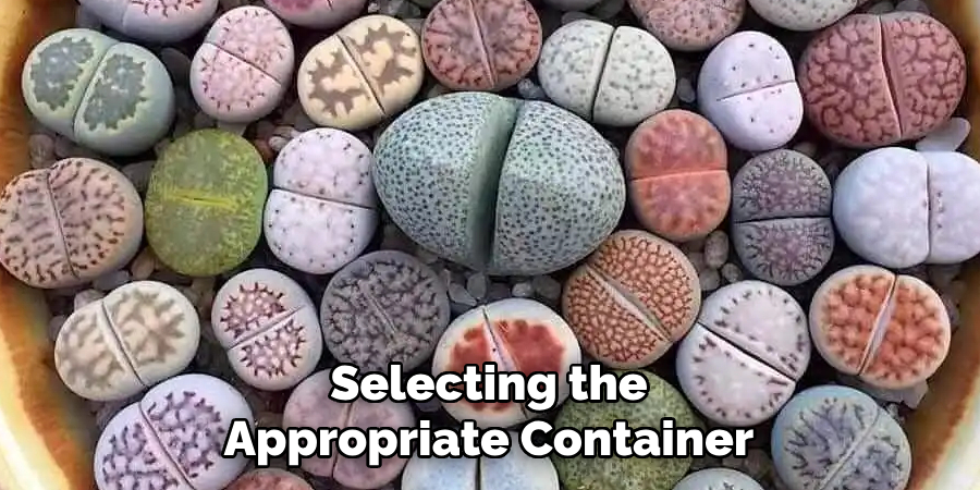 Selecting the Appropriate Container