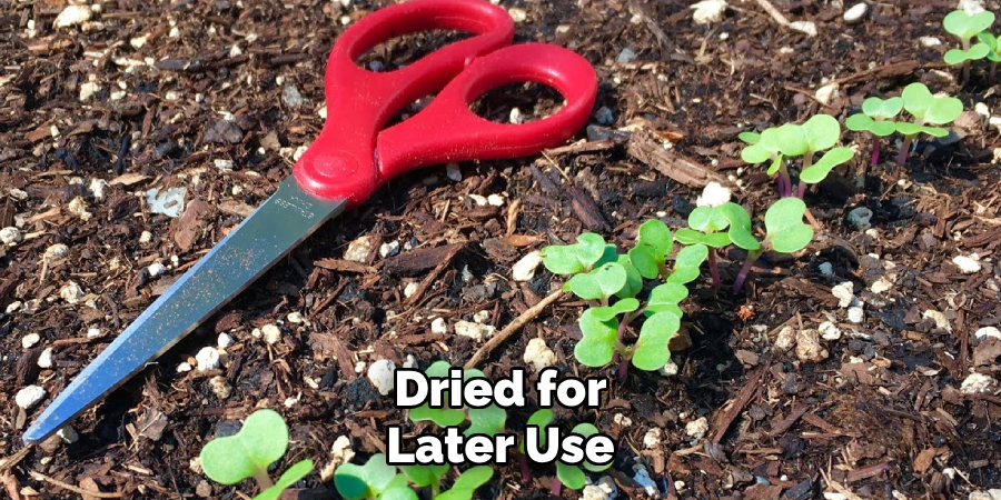 Settle Back
Into the Soil