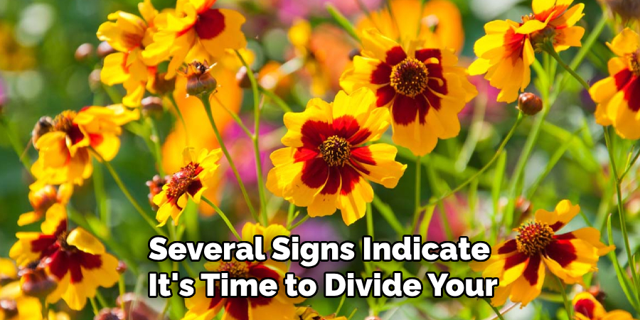 Several Signs Indicate
It's Time to Divide Your