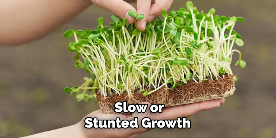 Slow or Stunted Growth 