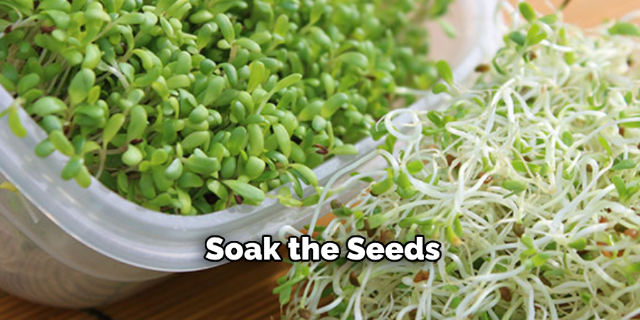Soak the Seeds