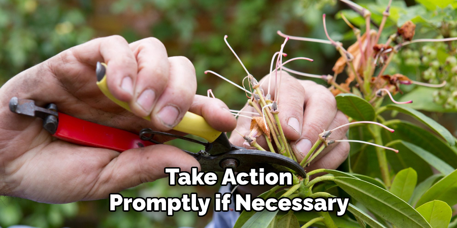 Take Action
Promptly if Necessary