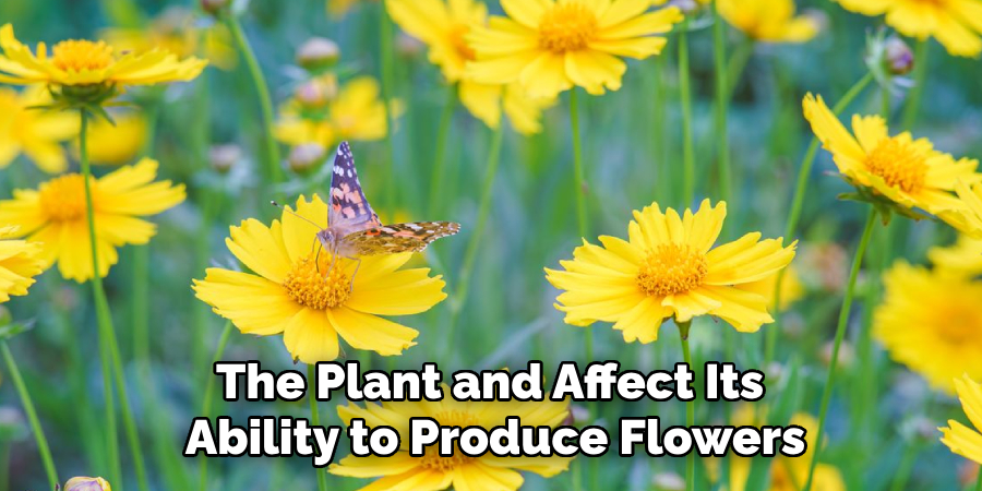 The Plant and Affect Its Ability to Produce Flowers
