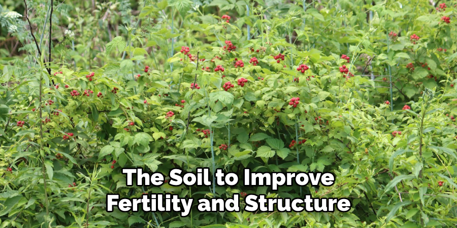 The Soil to Improve
Fertility and Structure