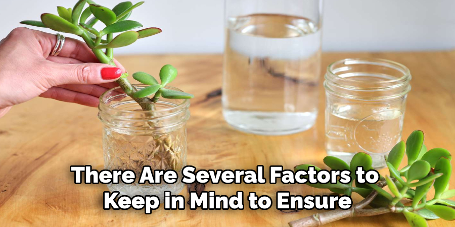There Are Several Factors to Keep in Mind to Ensure