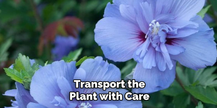 Transport the Plant with Care