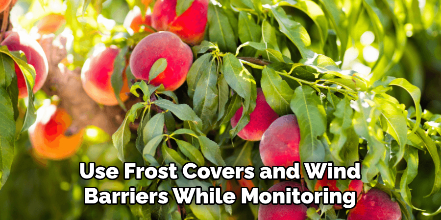 Use Frost Covers and Wind Barriers While Monitoring