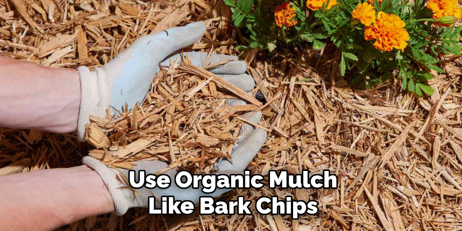 Use Organic Mulch
Like Bark Chips