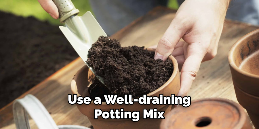 Use a Well-draining
Potting Mix
