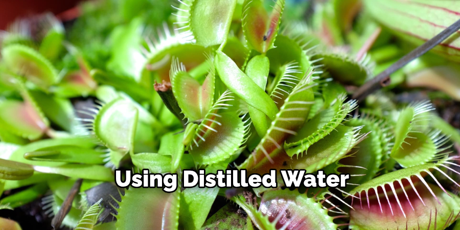 Using Distilled Water