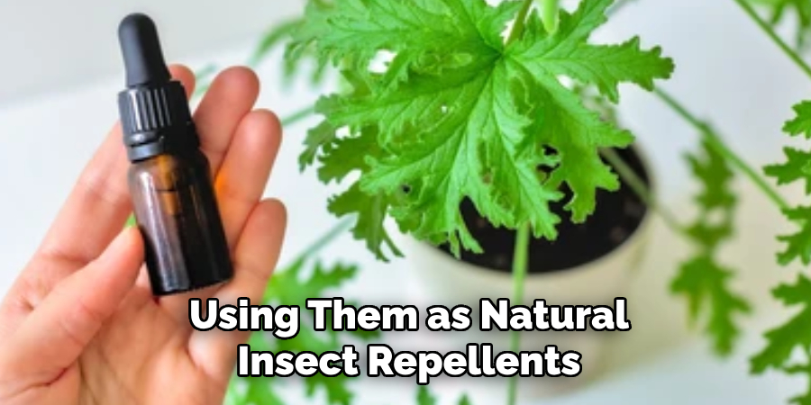 Using Them as Natural
Insect Repellents
