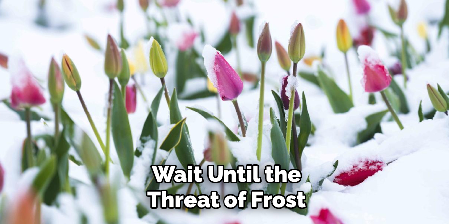 Wait Until the
Threat of Frost