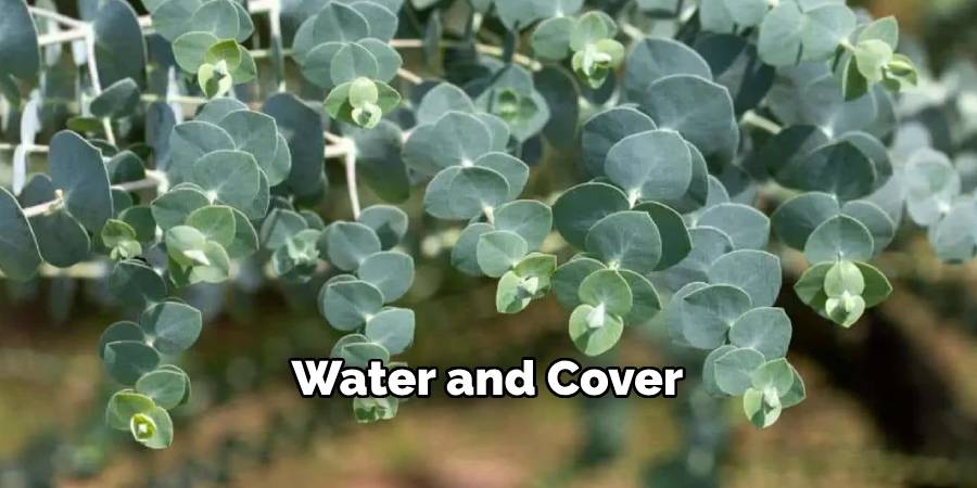 Water and Cover