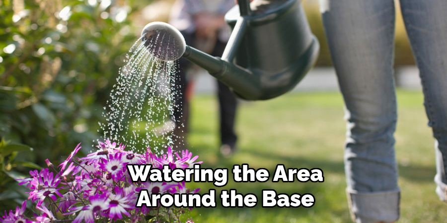 Watering the Area
Around the Base