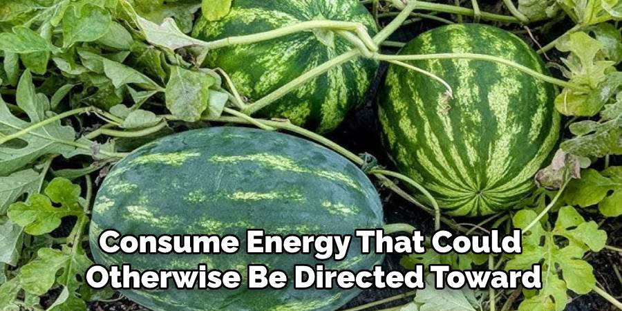 Consume Energy That Could 
Otherwise Be Directed Toward