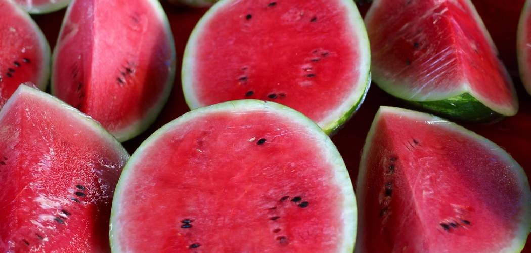 How to Prune Watermelon Plants