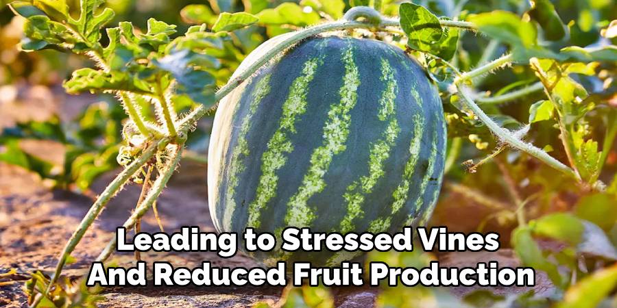 Leading to Stressed Vines 
And Reduced Fruit Production