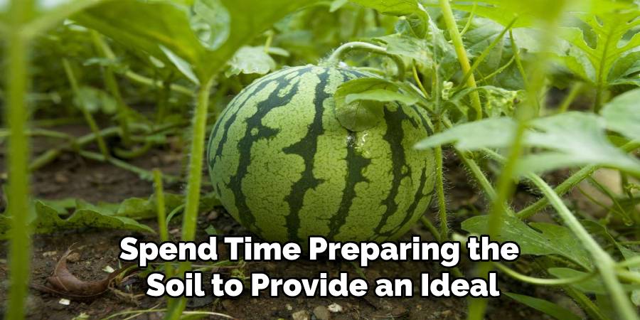Spend Time Preparing the
Soil to Provide an Ideal