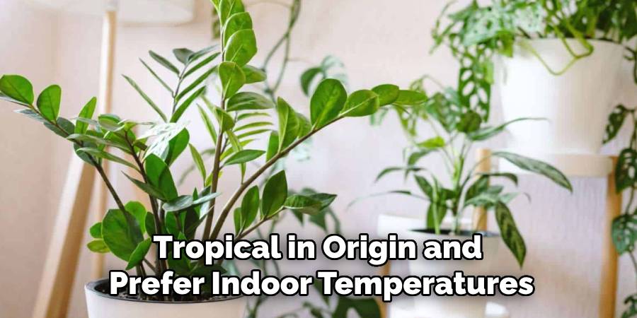 Tropical in Origin and 
Prefer Indoor Temperatures