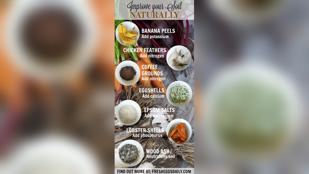 How to Add Magnesium to Soil