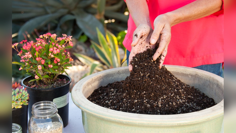 How to Add Peat Moss to Soil