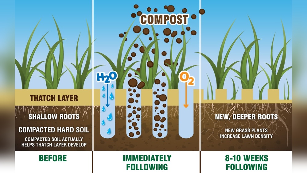 How to Amend Soil for Grass
