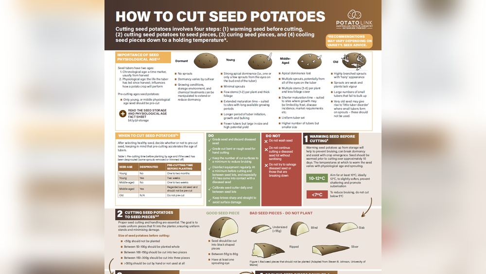How to Cut Seed Potatoes