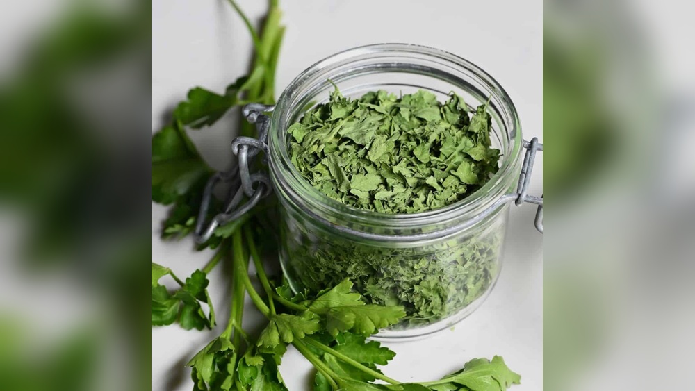 How to Dry Parsley from the Garden