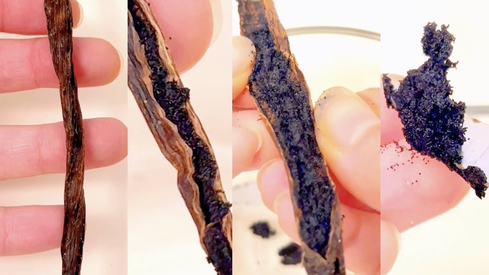 how to grow vanilla from seed