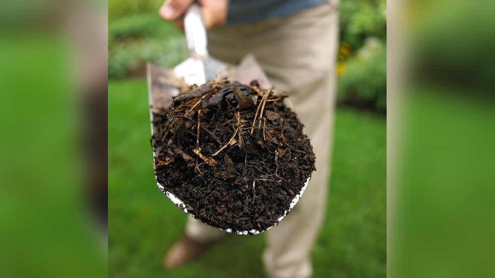 How to Make Compost Soil