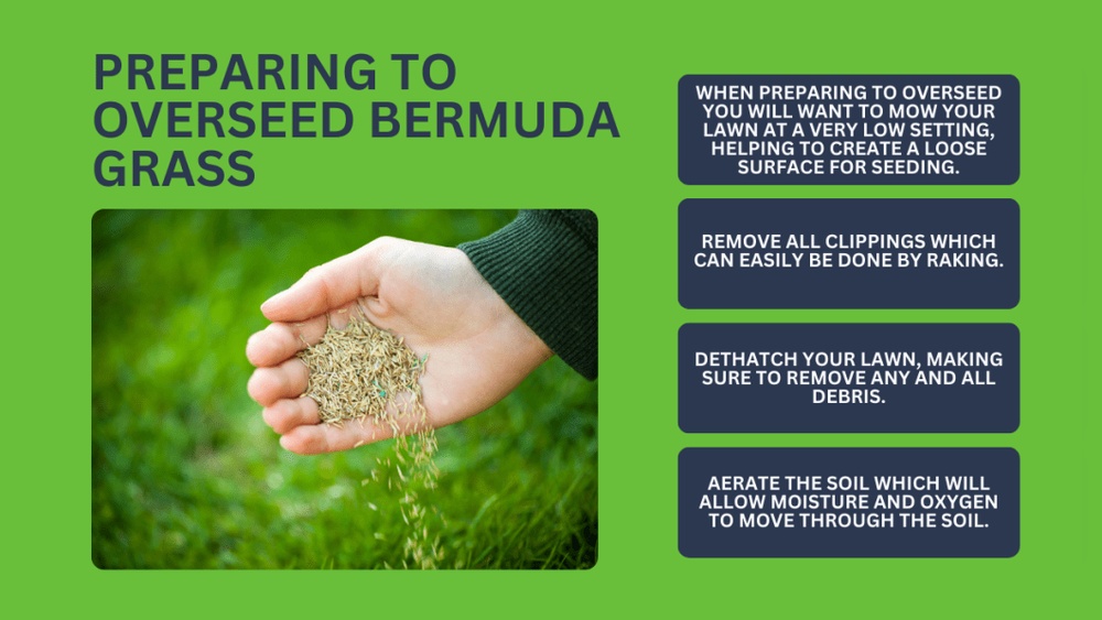 How to Overseed With Bermuda Grass Seed