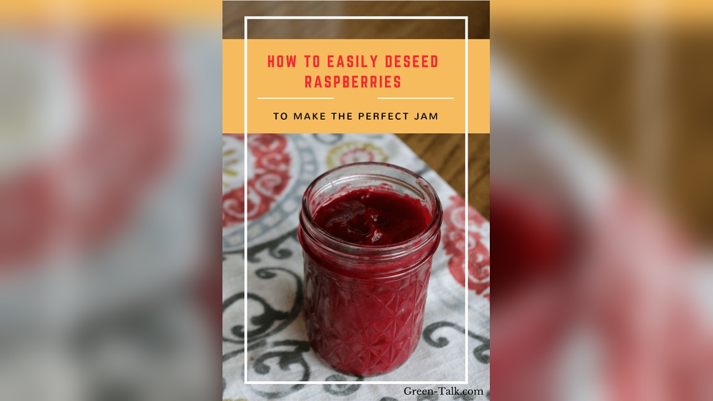 How to Remove Raspberry Seeds